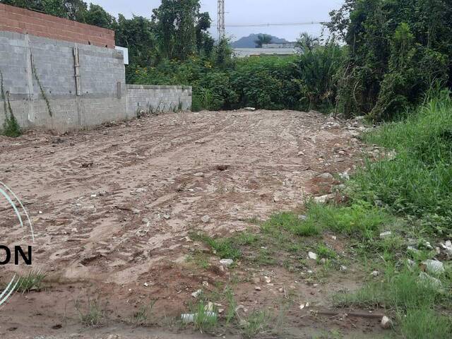 #110 - Terreno para Venda em Caraguatatuba - SP - 3