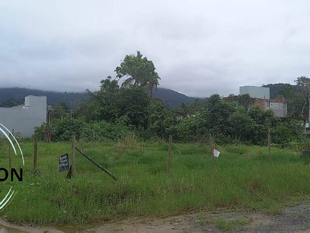 #113 - Terreno para Venda em Caraguatatuba - SP - 3