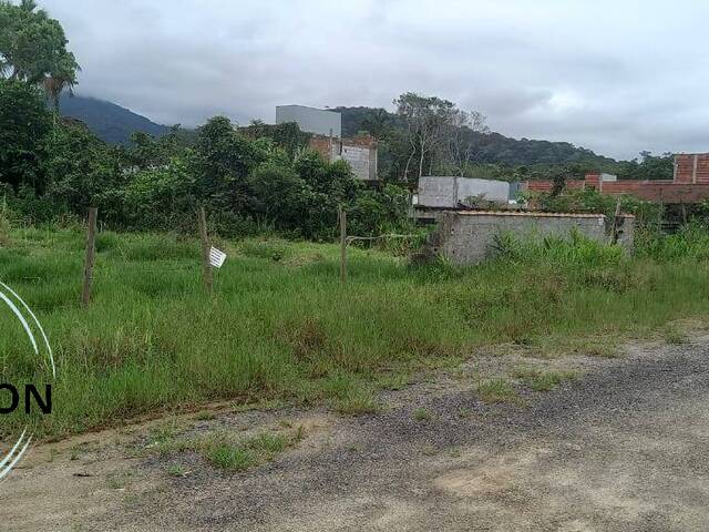#113 - Terreno para Venda em Caraguatatuba - SP - 1
