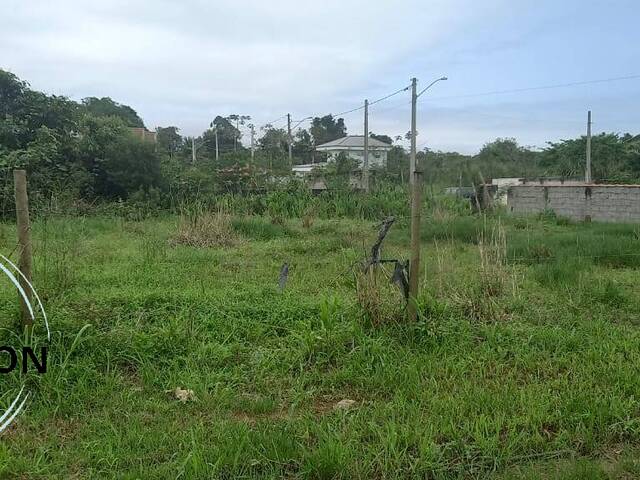 #113 - Terreno para Venda em Caraguatatuba - SP - 2