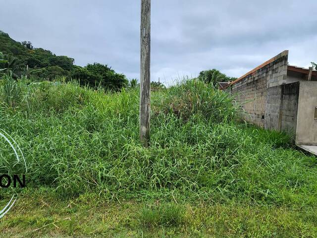 #155 - Terreno para Venda em Caraguatatuba - SP - 1