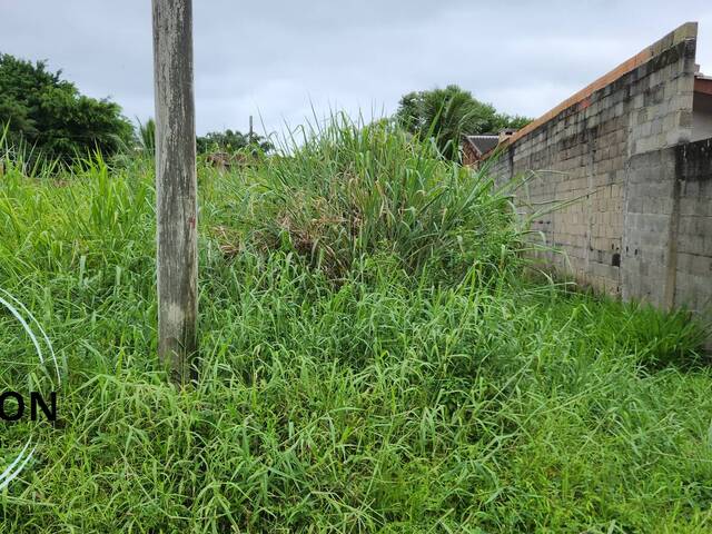 #155 - Terreno para Venda em Caraguatatuba - SP - 3